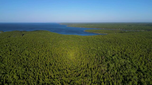 Aerial View of Bruce Peninsula Forest and Coastline