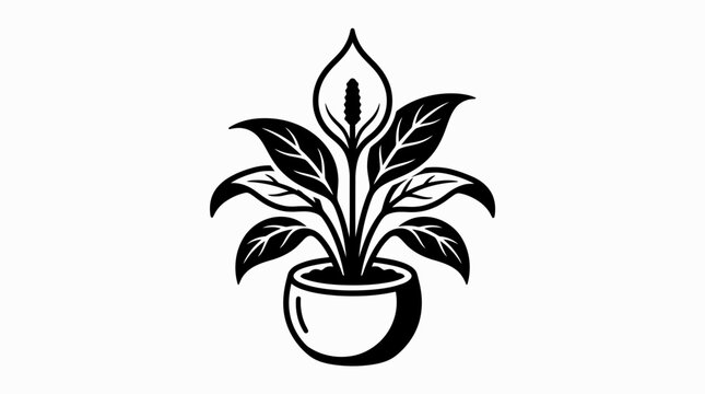 Stylized Peace Lily Plant Silhouette in Pot, Black and White Vector Icon