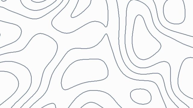 Abstract flowing lines forming topographic map pattern resembling fluid liquid motion on white surface simple elegant geometric background design animation loop seamless continuous.