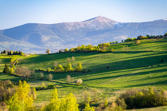 view on Sniezka mountain with green meadow during spring sunset in Poland