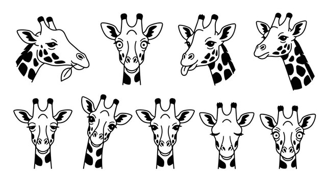Collection of giraffe head illustrations with varied expressions and poses, simple line art with black and white spots, ideal for educational or