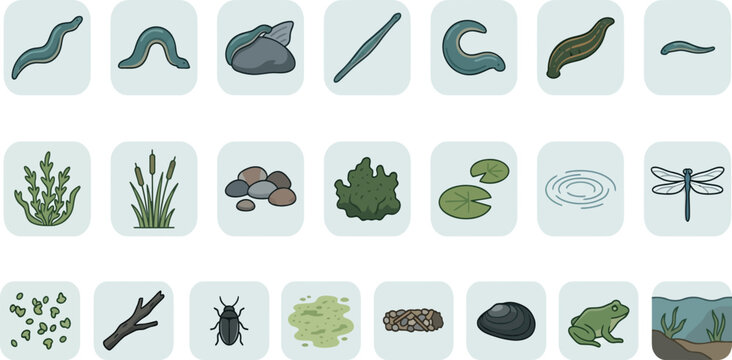 Detailed aquatic life icons featuring leeches and pond ecosystem elements for biology and environmental research