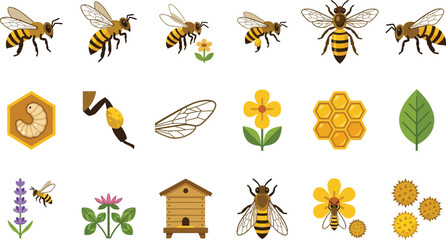 Detailed flat vector set of honey bee icons including queen, worker, hive, honeycomb, flowers, and pollination © MDSHAJAHAN