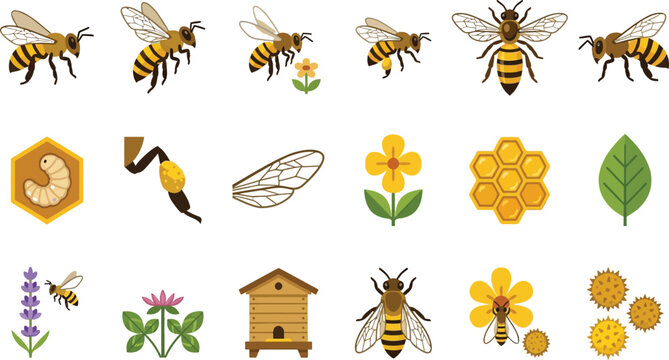 Detailed flat vector set of honey bee icons including queen, worker, hive, honeycomb, flowers, and pollination
