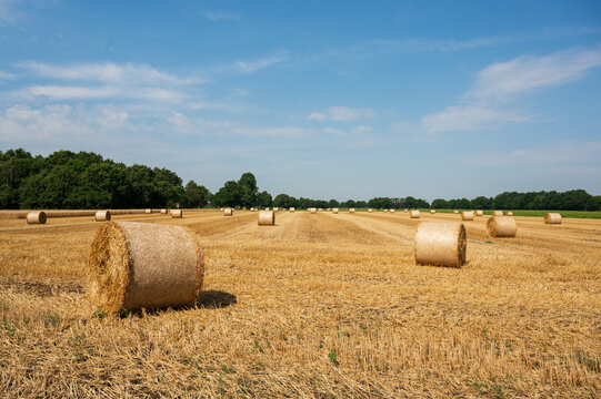 Strohballen bei blauen Himmel auf dem Feld.
