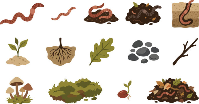 Detailed set of earthworm illustrations with soil layers, roots, leaves, and forest floor elements for biology