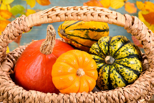 Herbst-Dekoration mit Bl&auml;tter und Fr&uuml;chte
