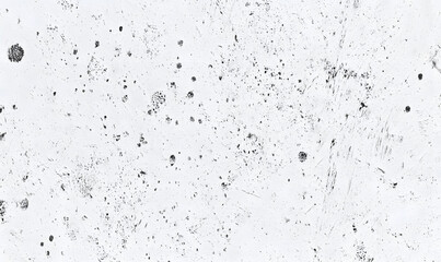 Naklejka premium water drops on a window
