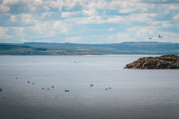 Obraz premium Summer Coastal Landscapes of the Farne Islands, Northumberland, Captured in July 2026