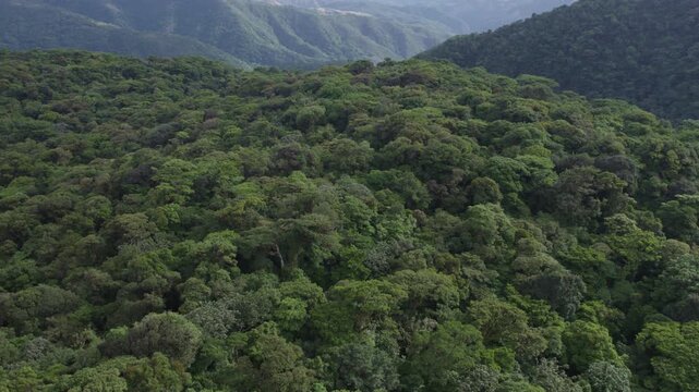 Aerial tilt up view from cloud forest on mountain top to reveal valley containing continental divide between Pacific and Caribbean water shelves in Monteverde, Costa Rica