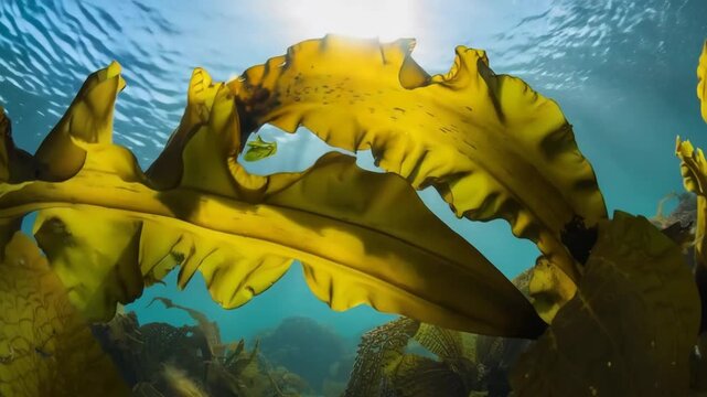 Forest of Seaweed, 4K, AI generated