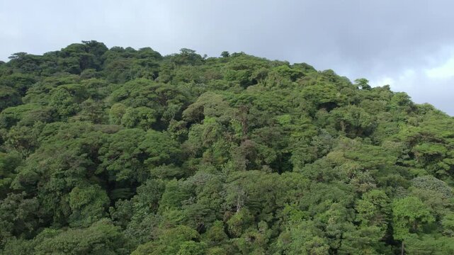 Aerial panoramic view down lush, green mountain valley covered by cloud forest with clouds passing overhead in Monteverde, Costa Rica