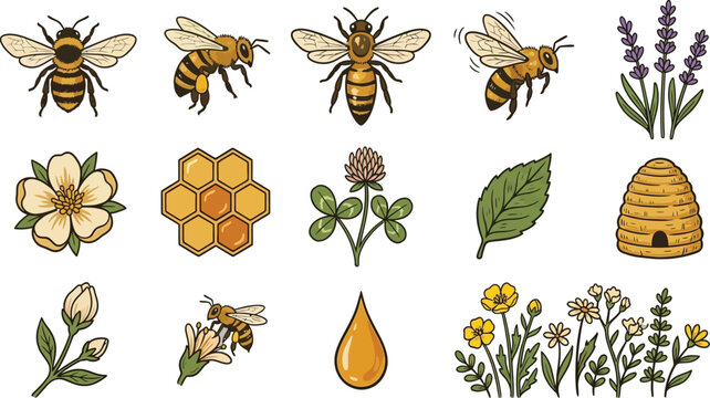 Hand drawn honey bee collection with floral elements honeycomb beehive and wildflowers for nature themed projects