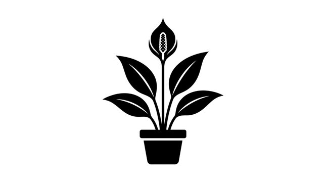 Potted Peace Lily Plant Icon Silhouette