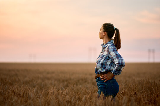 Female farmer standing in wheat field at sunset