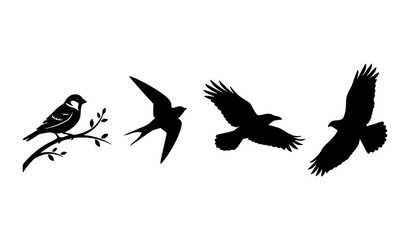 Fototapeta premium Minimal Black Bird Silhouette Collection with Flying and Perched Nature Vector Icons