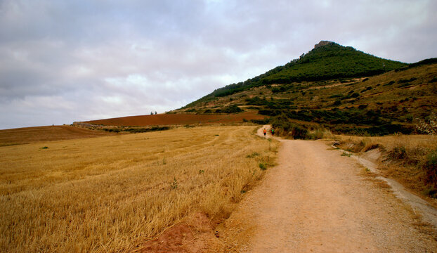 Rural Serenity: The French Way of Santiago from &Aacute;zqueta to Villamayor de Monjard&iacute;n, Spain