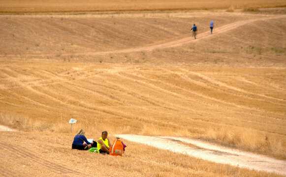 Pilgrims' Pause: A Journey Through History on the French Way in Spain