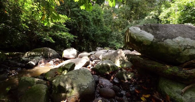 Sunlight streams through dense rainforest canopy, casting dappled light on small river flowing between large boulders in jungles of Tioman Island. Picturesque natural setting near Lubuk Teja Waterfall