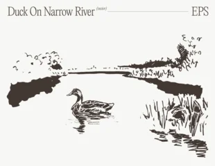 Duck Swimming On Narrow River With Reeds And Distant Bank, Hand Drawn Sketch Illustration © TheMountBirdStudio