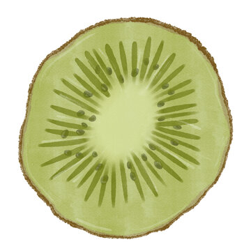 slice of kiwi fruit