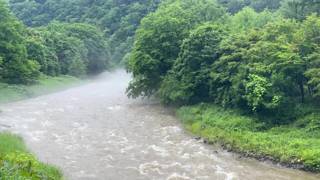 増水した川の濁流、雨の降る濃霧の森