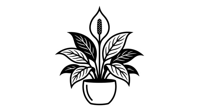 Elegant Peace Lily Plant in Pot, Black and White Line Art Illustration