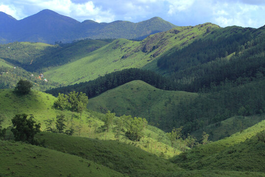 Sunlit rolling grass-covered hills and evergreen forests in Gavi, Kerala, India, nestled within the biodiverse Western Ghats mountain range