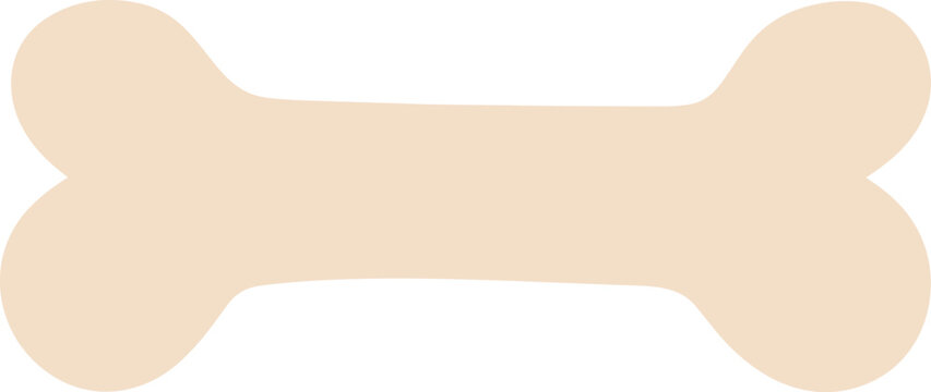 Single beige bone isolated on a white background.