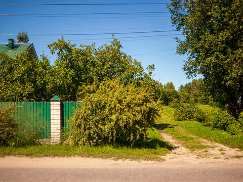 house hidden with fence and bushes