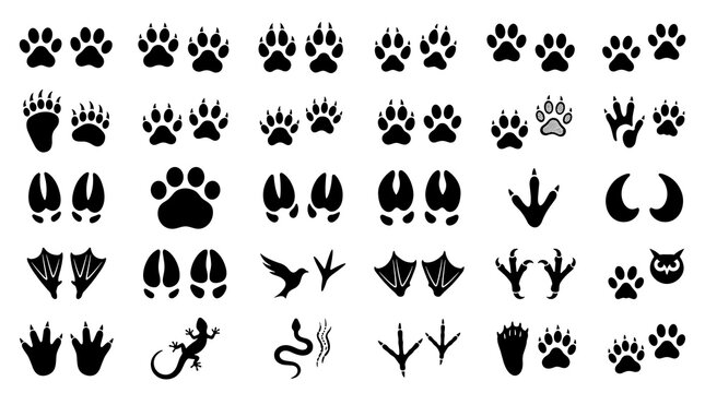 Animal footprint silhouette vector set with wildlife paw print icons isolated on white background
