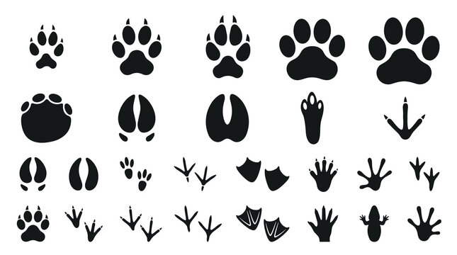 Wildlife animal paw print icon collection with black footprint silhouettes isolated on white background