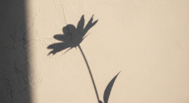 Lone flower shadow cast on textured warm wall.