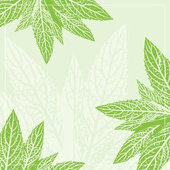 Botanical card template with mentha piperita leaf nature prints, peppermint ink stamp border for herbal tea menu and organic cosmetic packaging design, soft pastel green and lime color palette © MarhaRyta