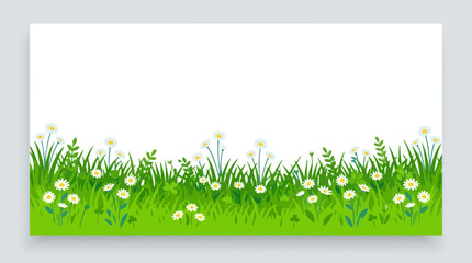 Fototapeta premium Spring Meadow with Wildflowers and Green Grass Background