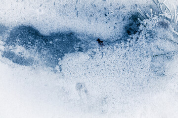 Fototapeta premium Ice texture crystal, blue-toned background. Textured, cold, frosty surface of ice.