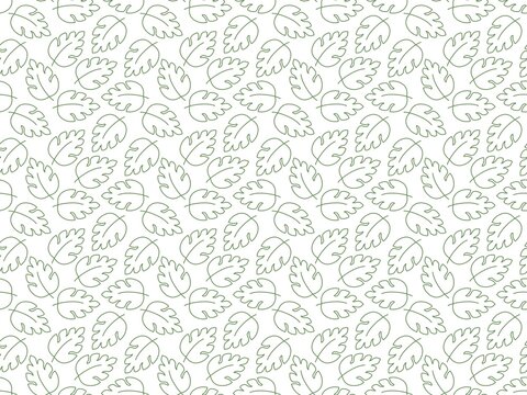 Seamless Green Monstera Leaf Line Art Pattern Background