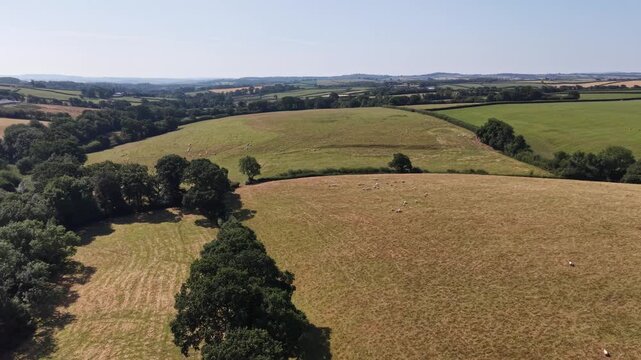 Devon and Cornwall sheep farming country