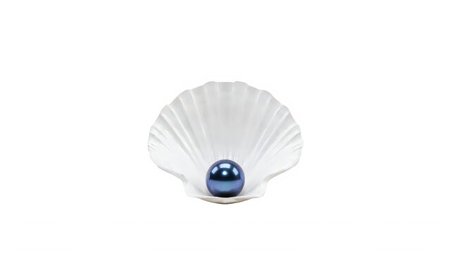 Blue pearl inside a white seashell. Luxury gemstone in an open scallop shell isolated.