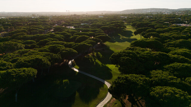 Aerial view of a lush green park with a pathway bisecting the manicured lawn and surrounded by dense trees on a sunny day Stock Photo