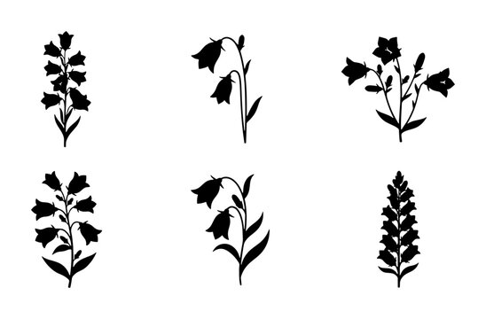 Botanical Silhouettes: Delicate Bellflower & Penstemon Vector Icons, Simple Floral Elements for Design