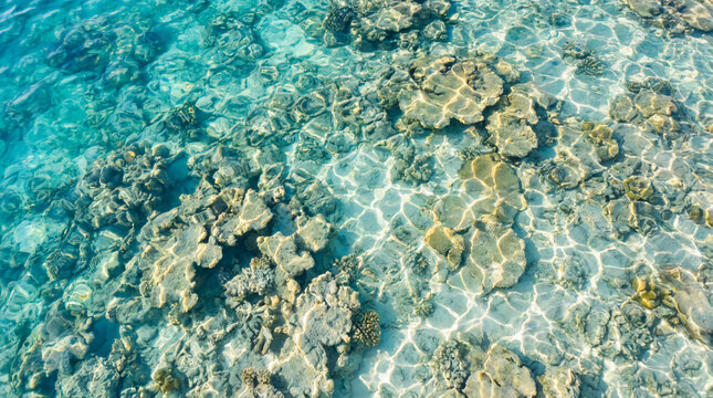 Clear turquoise water reveals a vibrant coral reef with diverse coral formations beneath the surface.