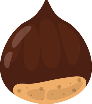Chestnut Flat Illustration. Clean Icon Design Element Isolated on White Background
