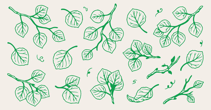 hand drawn aspen leaf seamless pattern, vintage poplar leaf vector illustration, green leaf foliage line art background, tree leaf sketch fabric print design, green botanical wallpaper pattern design,