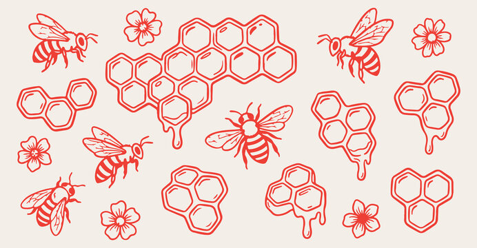 hand drawn honeybee honeycomb seamless pattern, vintage bee vector illustration, red honeycomb line art background, honey bee sketch fabric print design, sweet honeycomb wallpaper pattern design, hand