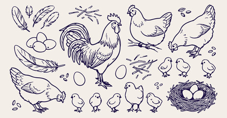 Fototapeta premium farmyard poultry seamless pattern, rooster chicken hen background, vintage farm animal texture, hand drawn rooster sketch, rustic farm birds vector, poultry farm illustration, hen rooster chick wallpa