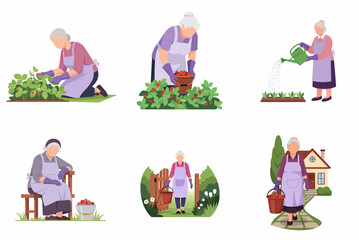 Fototapeta premium Elderly woman gardening and harvesting strawberries flat vector illustration set