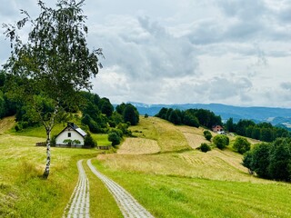 Beskid Sądecki, lato w okolicach Piwnicznej-Zdroju © Grzegorz Polak