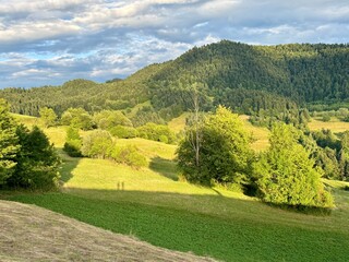 Beskid Sądecki latem  okolice Piwnicznej-Zdroju © Grzegorz Polak