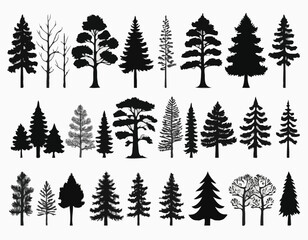 Obraz premium Pine and oak tree silhouette. Set of icons with black figures of spruce, pine, wild forest trees and woodland. Design Element for Logo. Flat vector illustration collection isolated on white .